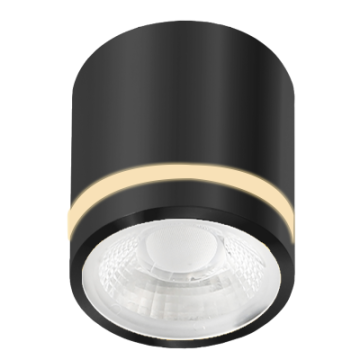 VICI IP44 12W CCT SWITCH BK...