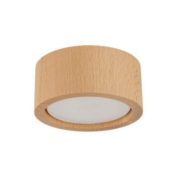 10123 Eve Wood Buk TK Lighting
