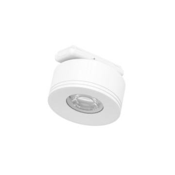 tplus wide spot spot 901707_2